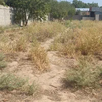 ۱۰۰۶ متر ویلایی سوله با سند تک برگی سه راه طالقان|فروش خانه و ویلا|کرج, گلشهر|دیوار