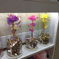 حباب گل ، کادوی روز مادر|گل مصنوعی|مشهد, شهید بهشتی|دیوار