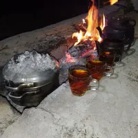 زمین-باغی-بادرخت-بار-بده-با-موقعیت-خوب