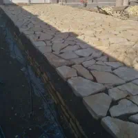 فعالیت اجتماعی