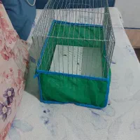 قفس پرنده فقط زنگ بزنین|لوازم جانبی حیوانات|گنبد کاووس, |دیوار