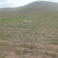 زمین-دستجرد-روستای-سرخده