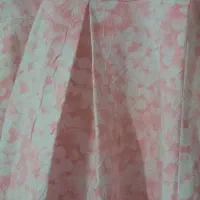 دودست لباس دخترانه|کفش و لباس بچه|باغستان, |دیوار