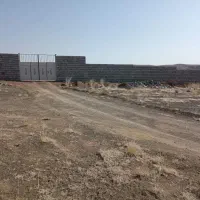 فروش-گوساله-پرواری-صنعتی