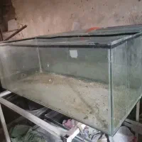 اکواریوم بزرگ ۲۰۰ هزار تومان