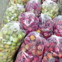 سیب برای آب گیری