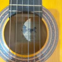 گیتار|گیتار، بیس، امپلیفایر|تهران, خلیج فارس|دیوار