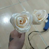 گل جاودان ربانی