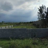 335متر-باغی