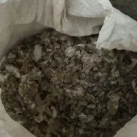 کود کبوتر