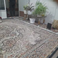 فرش ۱۲ متری ۲ عدد بسیار تمیز|فرش|اصفهان, قهجاورستان|دیوار