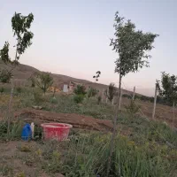 باغ ۱۰۰۰متری|فروش دفتر صنعتی، کشاورزی، تجاری|جوکار, |دیوار