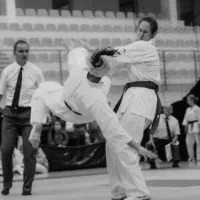 همبازی یا حریف تمرینی کاراته،تکواندو