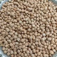 نخود|خوردنی و آشامیدنی|تهران, هاشمی|دیوار