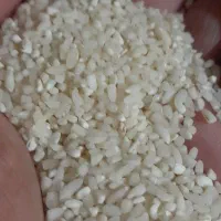 برنج وحبوبات|خوردنی و آشامیدنی|دهلران, |دیوار