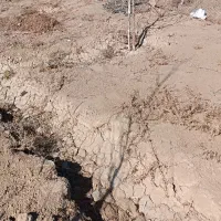 زمین-نزدیک-طرح-گاوخانه