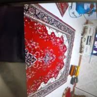 دو عدد کناره. قالینی