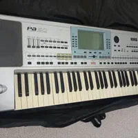 korg pa 50...  29/500