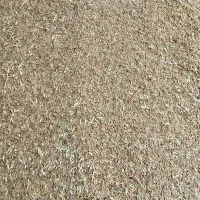 گندم ۲۵۰۰۰|عمده‌فروشی|بندر ماهشهر, |دیوار