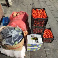 پخش تره بار رستوران و کبابی ها|عمدهفروشی|تهران, میدان میوه و ترهبار مرکزی|دیوار