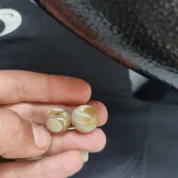 سلیمانی