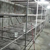 سالن قارچ اجاره ایی یا شراکتی|اجارهٔ مغازه و غرفه|رودهن, |دیوار