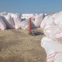 کاه فروشی کیلویی 17500 گونی شده هستن