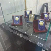 خرید و فروش سکه پارسیان|جواهرات|قرچک, زیبا شهر|دیوار