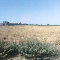 اجاره-زمین-کشاورزی