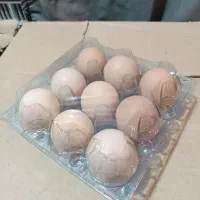 تخم مرغ محلی گلپایگان|خوردنی و آشامیدنی|مشهد, تربیت (صدف)|دیوار