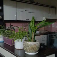 واحد-75-متری-شیک-در-امامت-27-مسکن-الهی