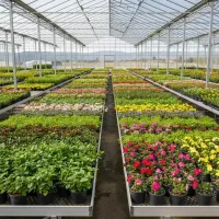 استخدام فروشنده گل آپارتمانی کارشناس