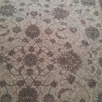 فرش ۱۲ متری|فرش|گرگان, |دیوار