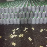 خیار شور همدان 2N