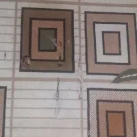 گلیم فرش ۶متری|گلیم، جاجیم، گبه|کرمانشاه, |دیوار
