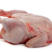 کارگر مرغی
