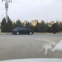 تجاری سایت نایاب و ارزنده|فروش مغازه و غرفه|فولادشهر, سایت صنعتی کاوه|دیوار