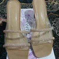 دمپایی تلقی مجلسی