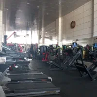 نیازمند به یک منشی مجرب