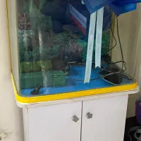 اکواریوم شرکتی دو عدد