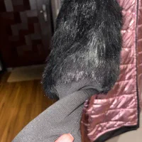 کاپشن دخترانه صورتی آینه ای|لباس|پردیس, فاز ۲|دیوار