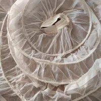 لباس عروس|لباس|کبودرآهنگ, |دیوار