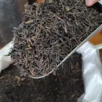 چای بهاره گیلان