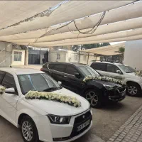 اجاره خودرو دناپلاس سفید و گل آریی ماشین عروس