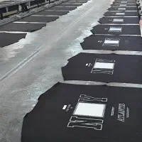 شابلون زن ماهر و عکاس