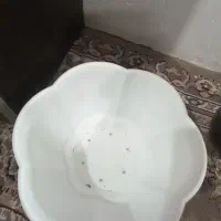 در حد نو|گل مصنوعی|مشهد, طبرسی شمالی|دیوار