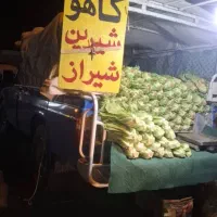 دعوت به همکاری