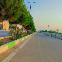 1000متر بهترین جای گردان افشاریه
