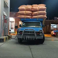 کاه لوبیا درجه یک تحویل سیرجان و شهر بابک|خدمات باغبانی و درختکاری|شهر بابک, |دیوار