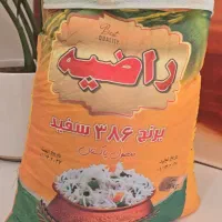 برنج راضیه ۳۸۶ / فروش عمده